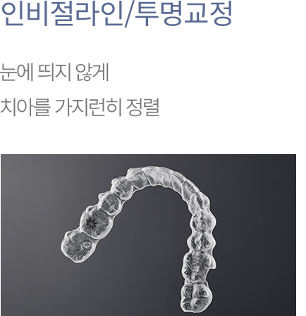 인비절라인/투명교정