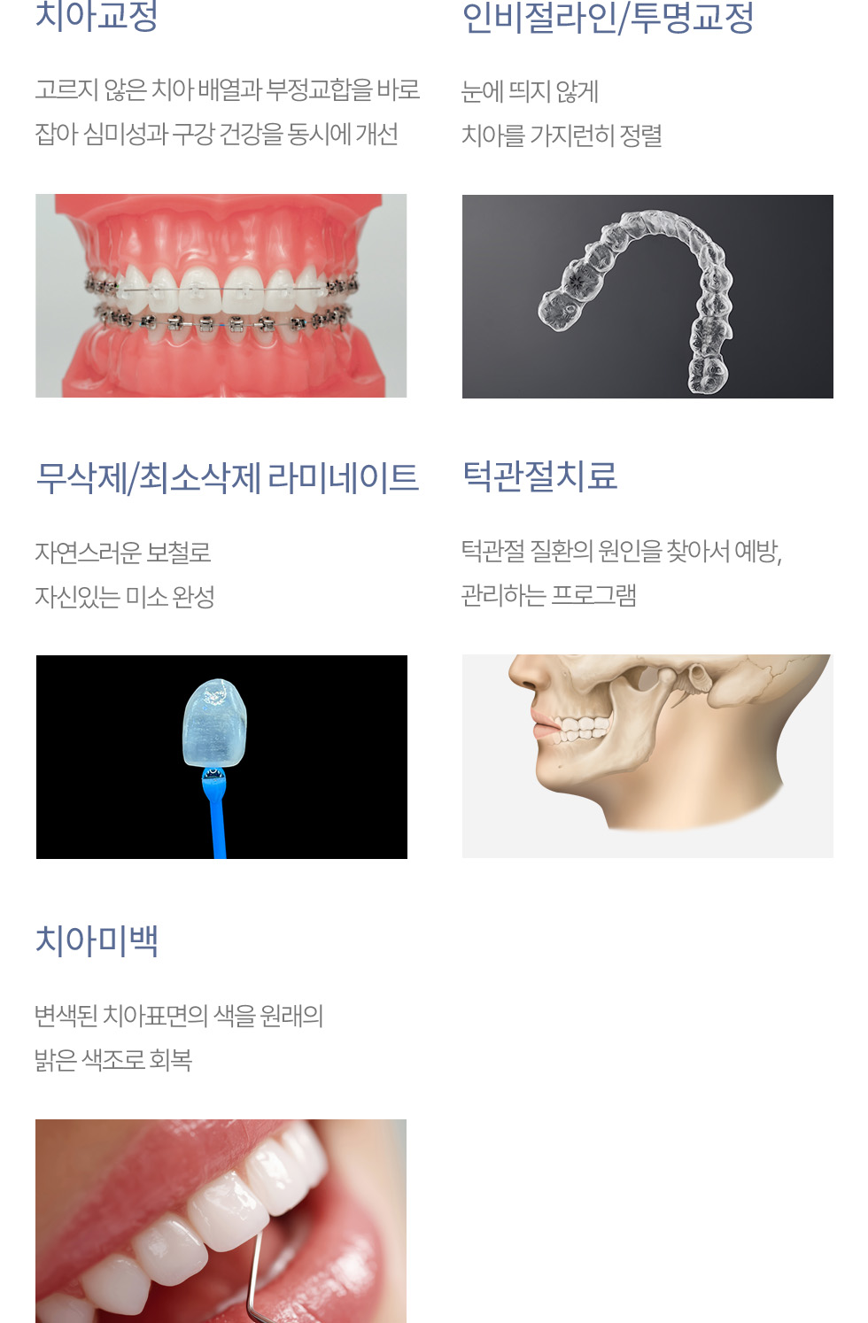 진료과목