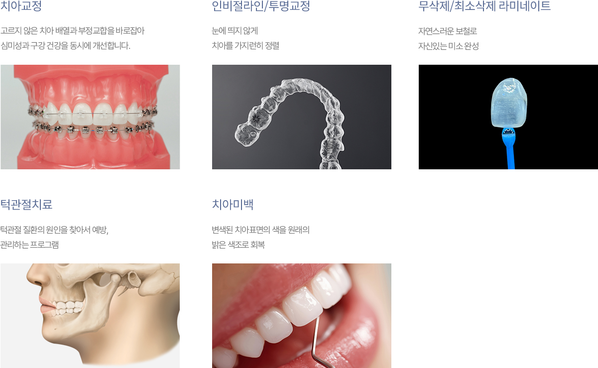 진료과목